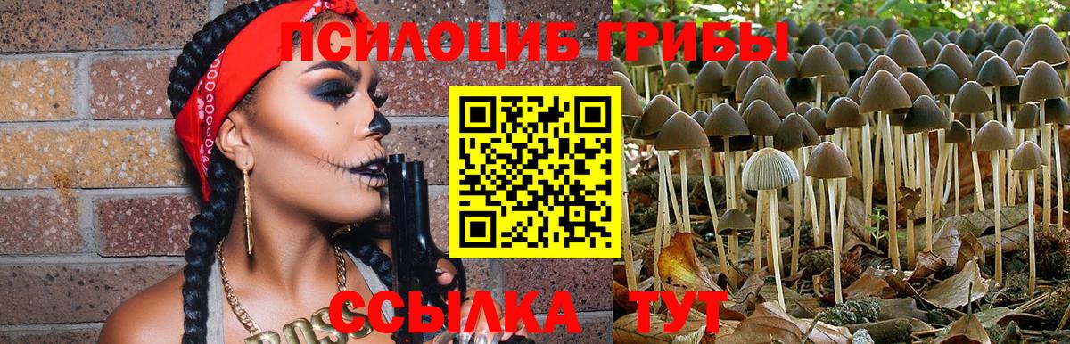 Майкоп  Галлюциногенные грибы Cubensis  Вход с VPN  Галлюциногенные грибы Magic Shrooms 